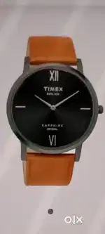 Timex men's watch