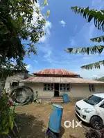 1 Acre + 80+ years old Vintage house