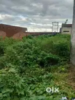 Urgent sale plot
