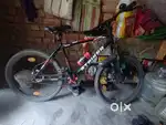 Gang bicycle
