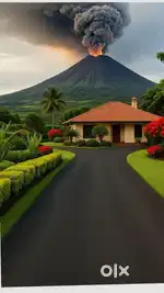 Room rent 1000