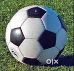 Sports Coach (Basketball, Volleyball, Badminton, Football)