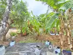 6, cent plot for sale near Vennala