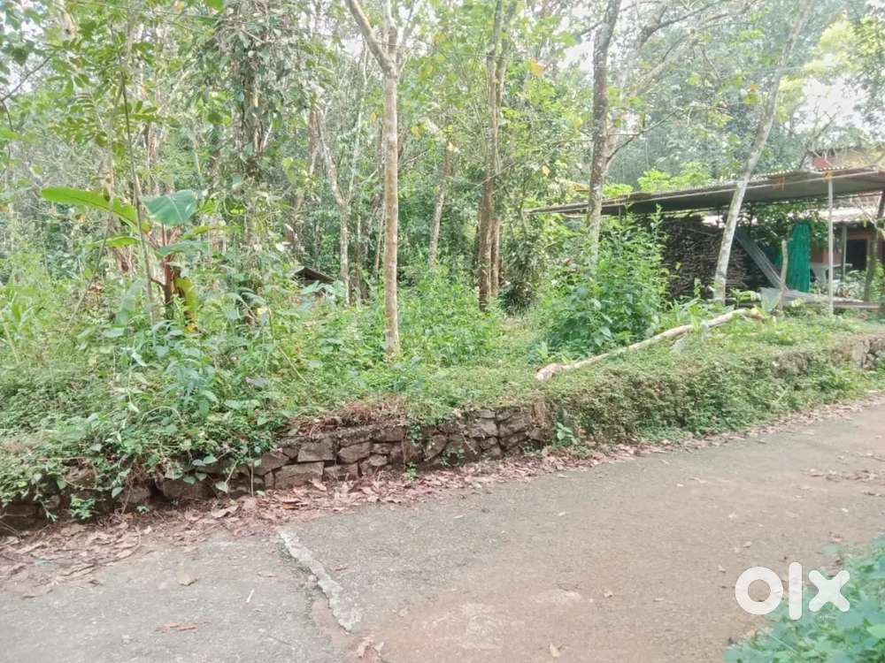 കാനം 10 cent house plot. 1 25 .lakh.