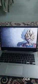 ashus chromebook