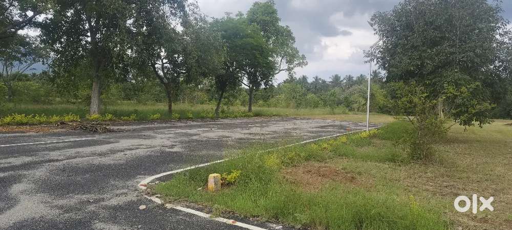 new DTP  layout  thonadamuthur 3 km per cent 6.90 lakhs