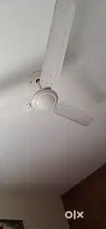Bajaj ceiling fan pack of two