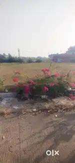 Cat road surya mandir treasure fantasy ke baad me pmy flat ke pass