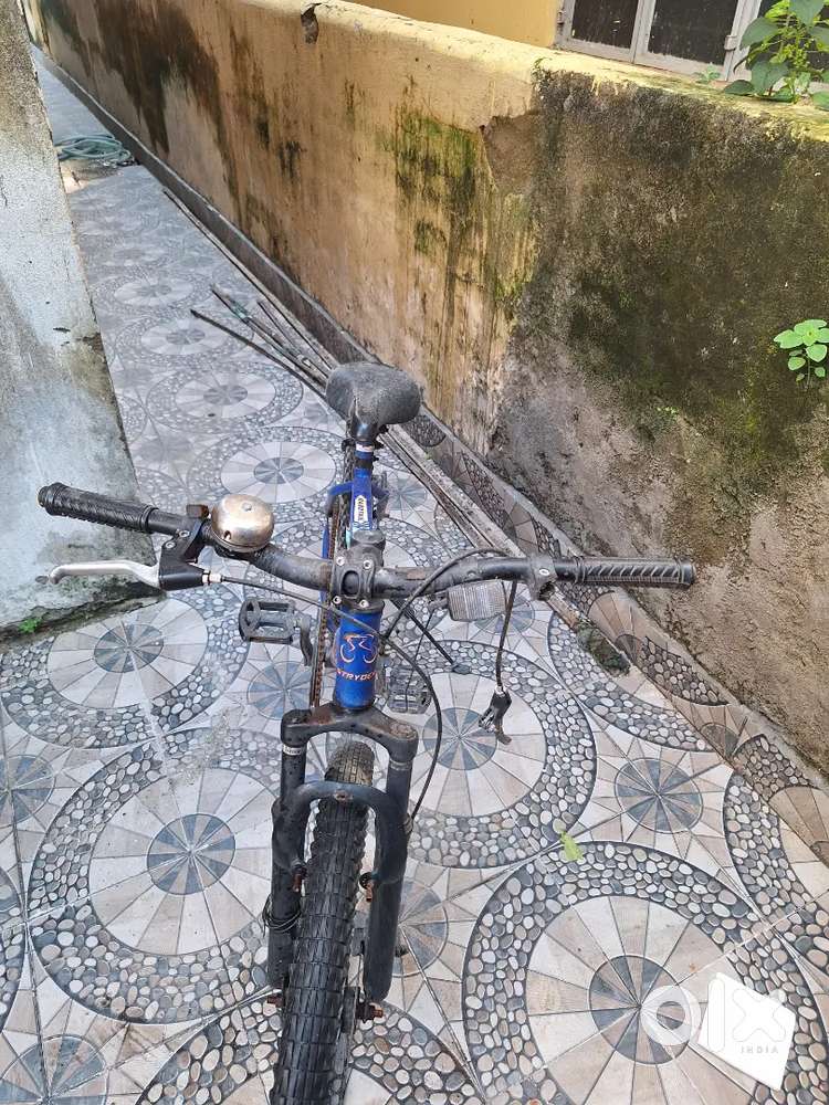 Tata cycle