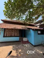House for Rent - Areekkad, Aana Road