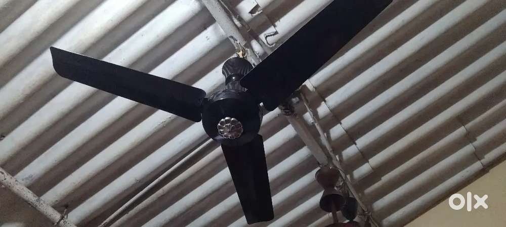 ceiling fan  Orient Rs650