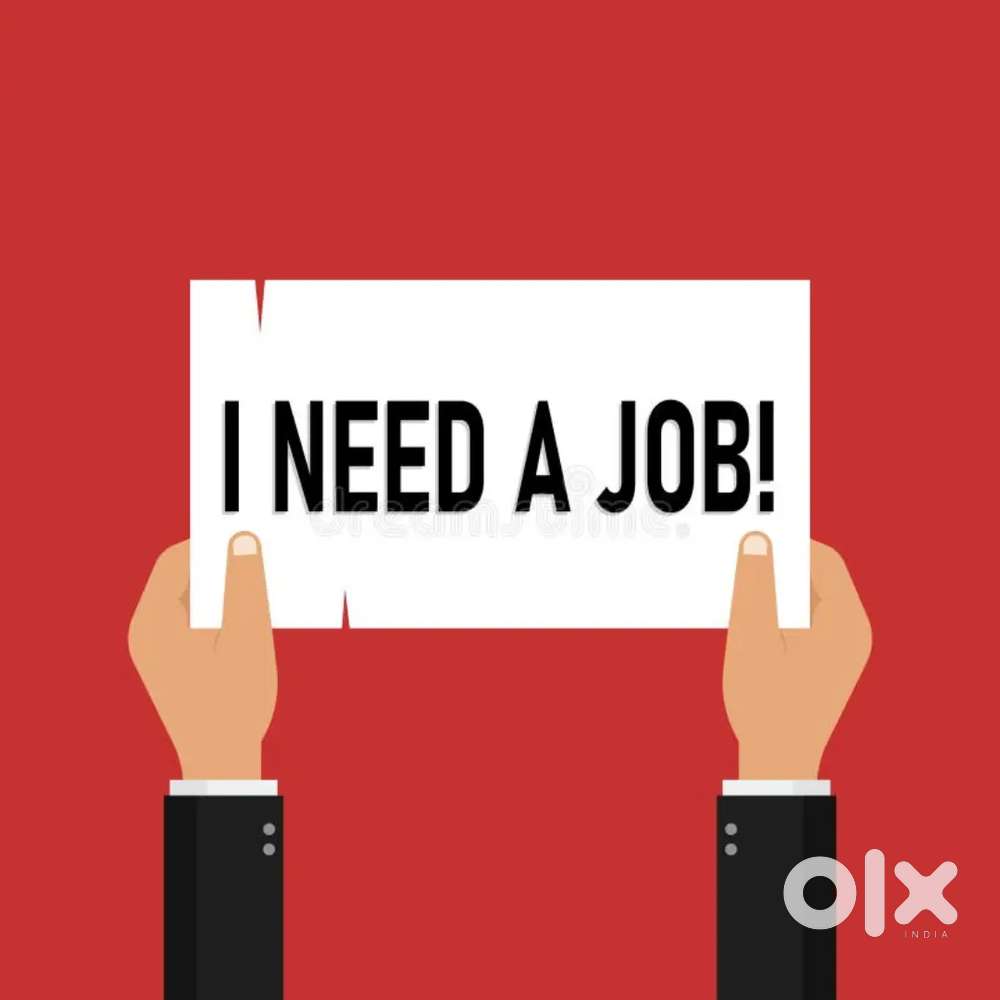 I need a job