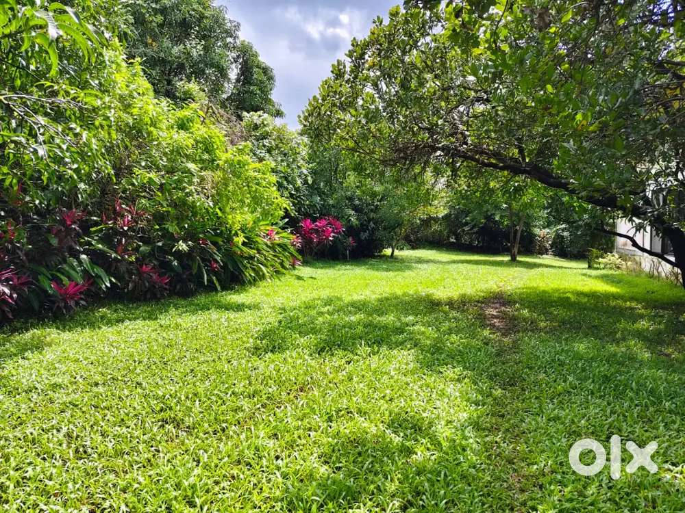 Pali khopoli road near by imagica