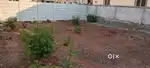 LRS Paid open plot for sale in RL Nagar ramaplly