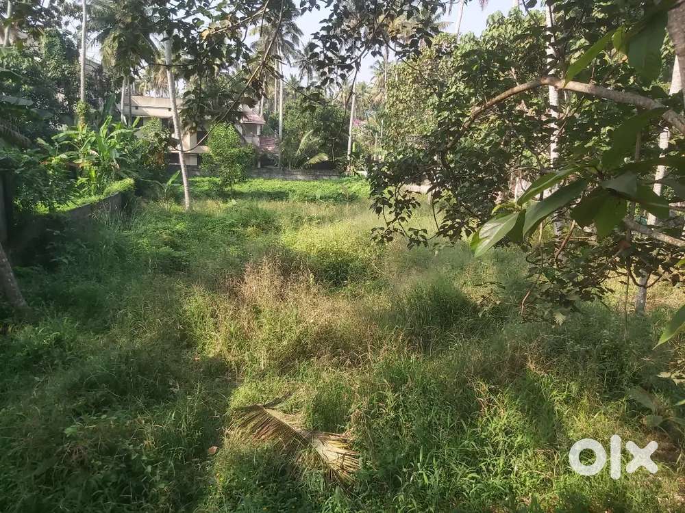 25 cents land for sale