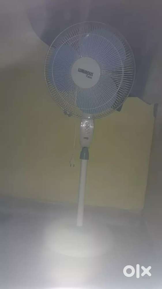 Luminous fan