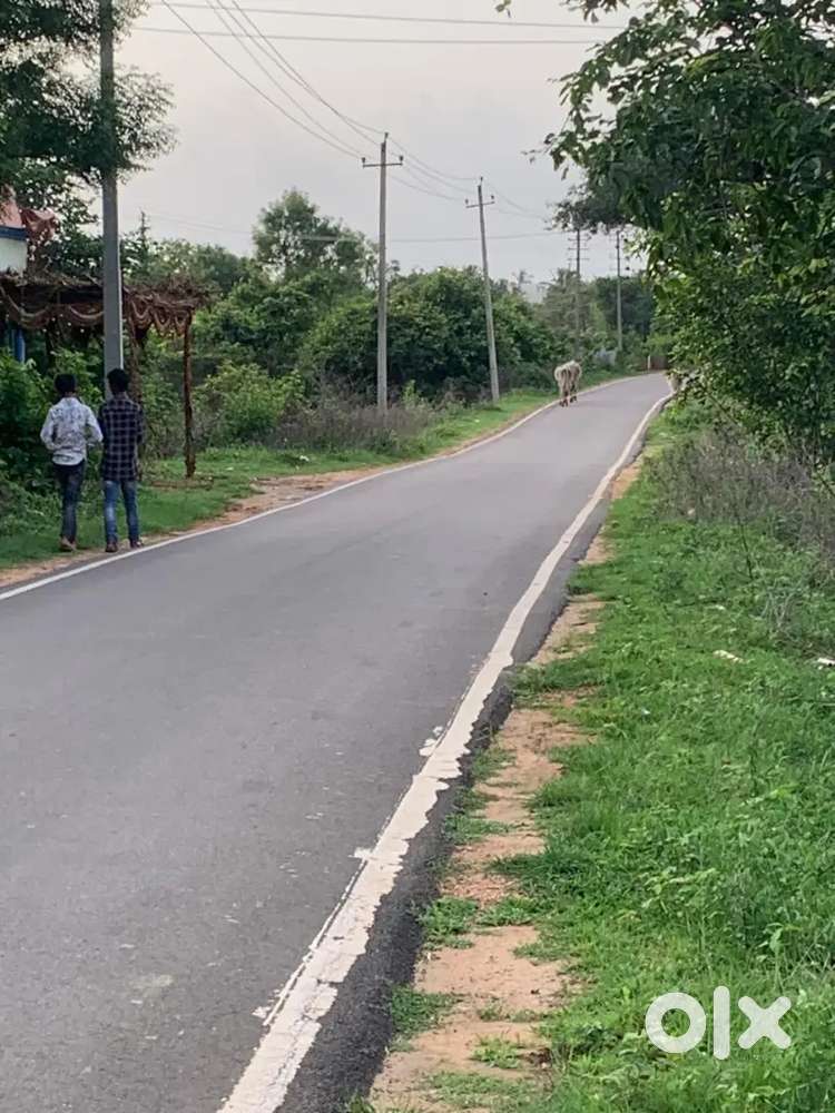 2 Acres 5 Guntas Land for sale in Sondekoppa Nelamangala