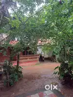 House 2nd floor rent