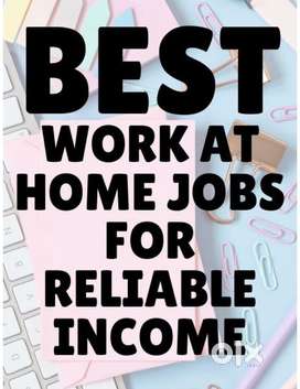 Home Based Data Entry work