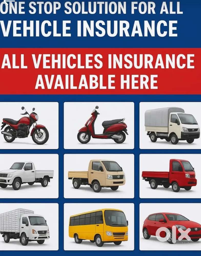 All vehicle insurance on one shop