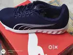 Puma shoes 8 size