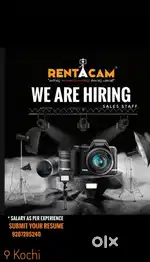 We are hiring, a sales executive