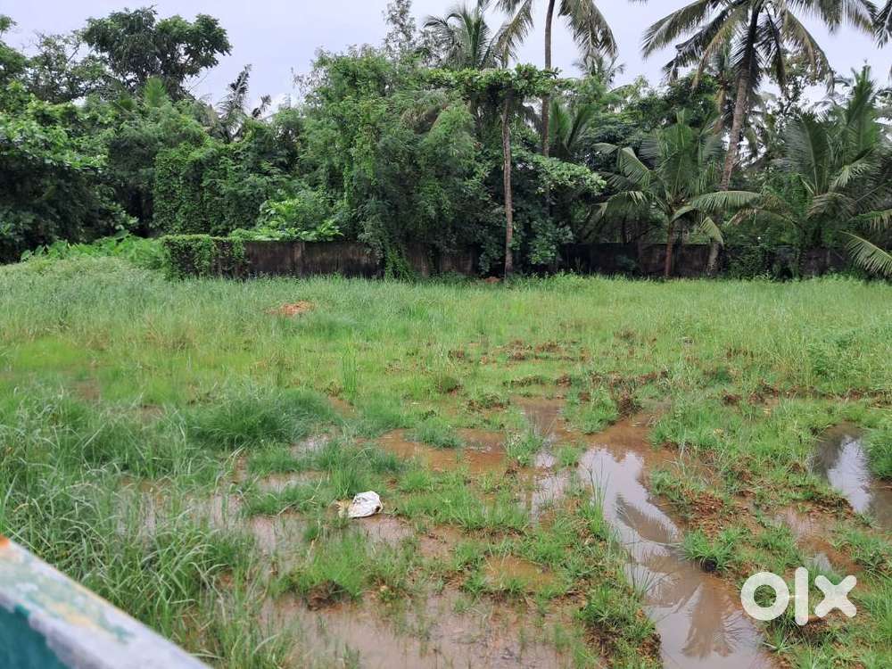 22 Cents of Residential Land in Kadavanthra.