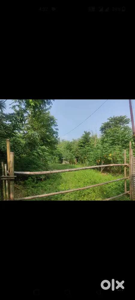 Chotu lengti high way Assam side 5 minutes walk