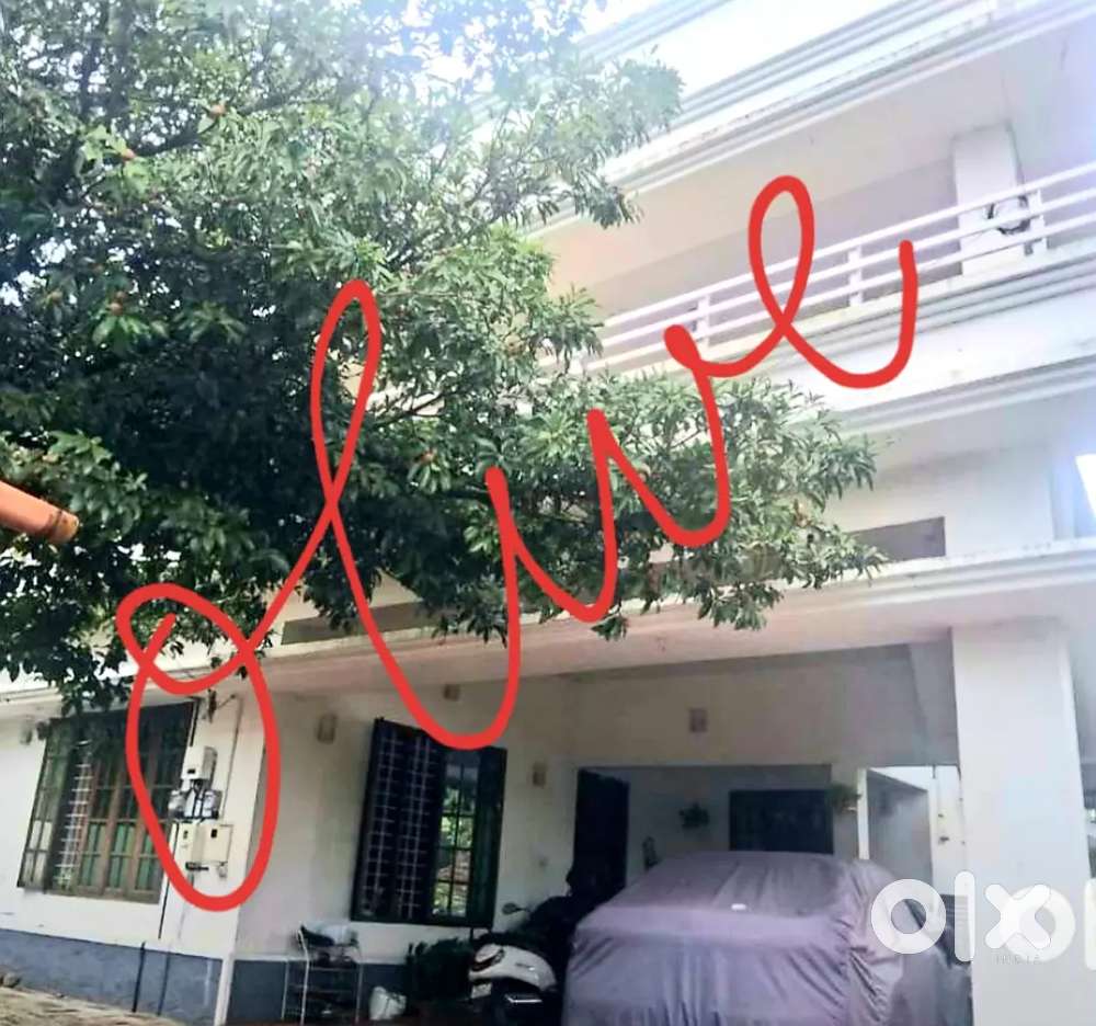 Fully Furnished 3bhk Upstair house for rent Aluva Town