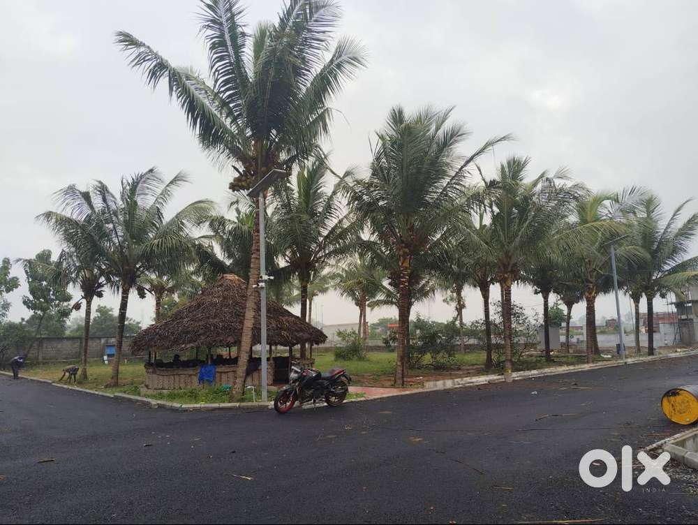 Metro Nearby! Green Cove Plots for Sale