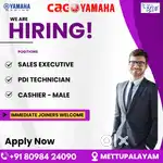 Bike Sales Executive
