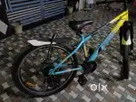Gear bicycle