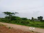 1500 square yards south face commercial land for sale