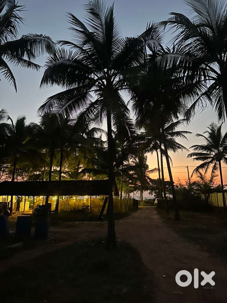 1bhk with beach view