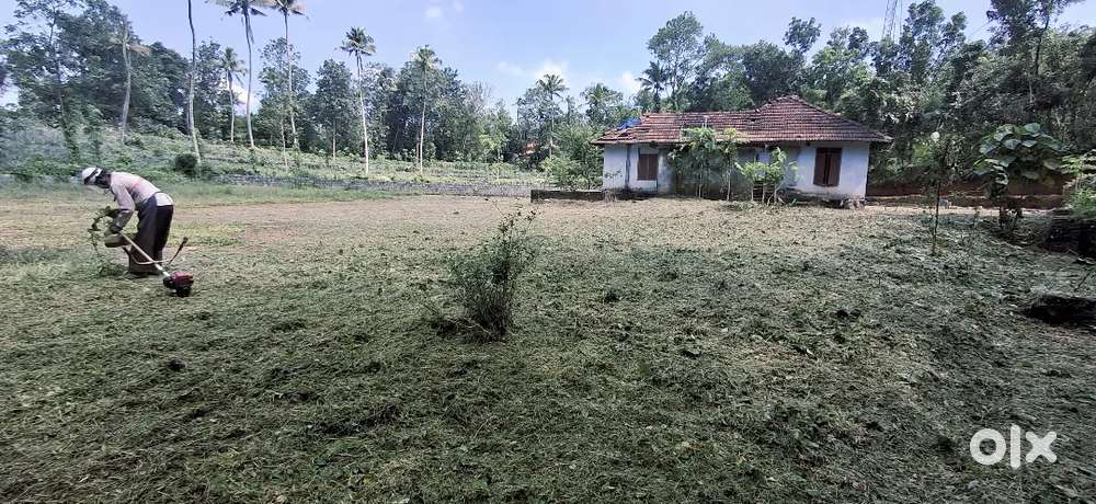 33.5 CENT HOUSE PLOT FOR SALE NEAR AIRAPURAM