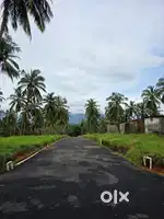 10cent house plot at Viyyakurissi, Mannarkkad