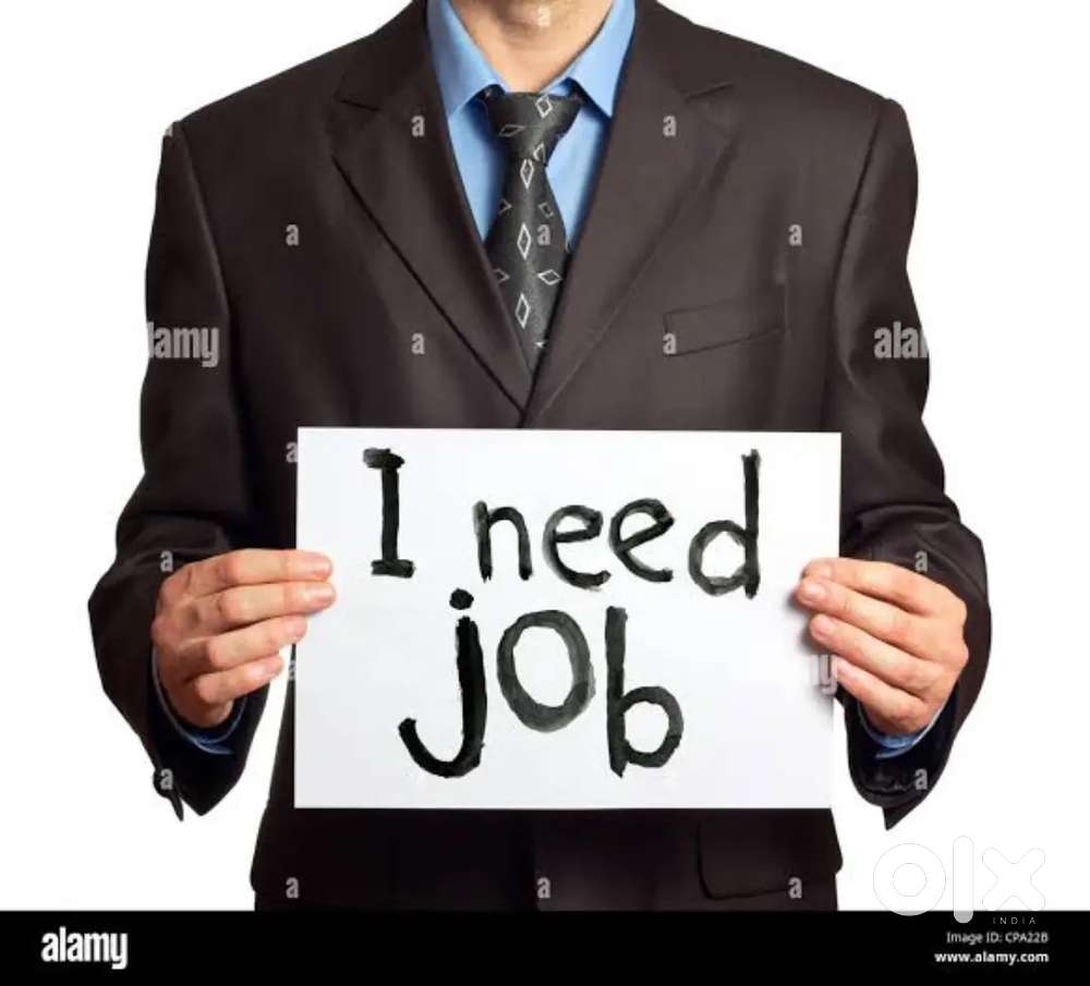 Job need in fastfood restaurant ya cafe I'm well work