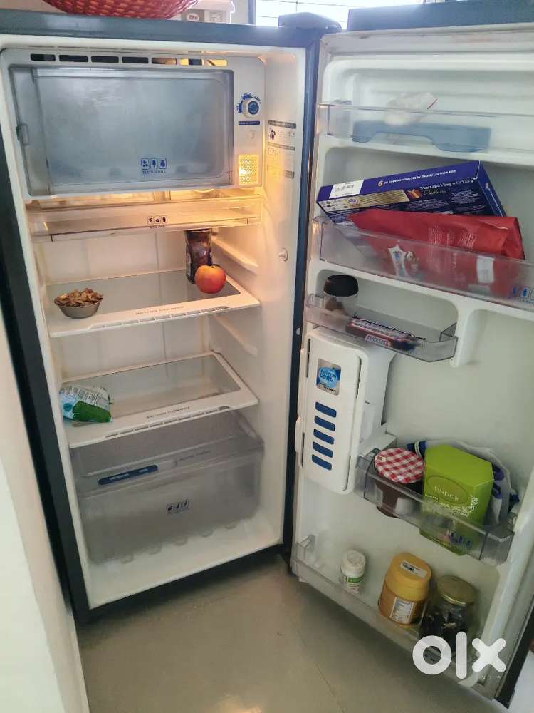 Fridge single door