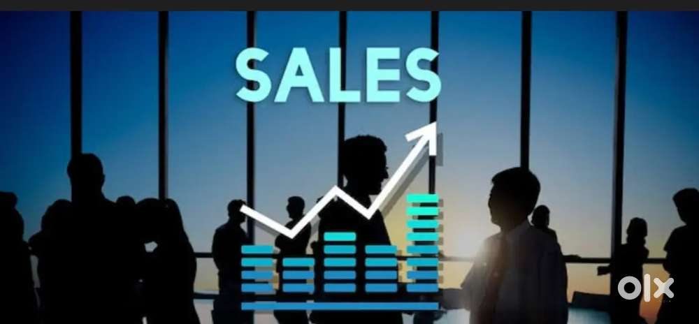 Sales executive position work