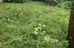 Plot for Sale MDDA Approved