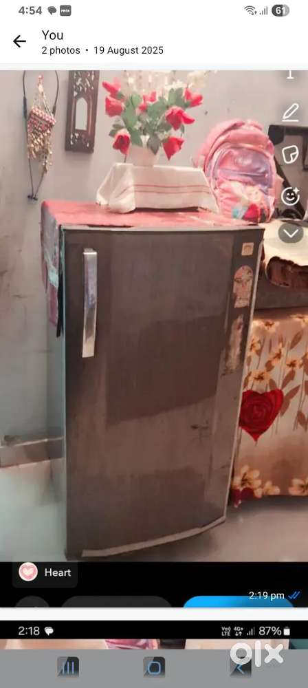 Electronic fride for sell