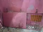 Iron door for main door
