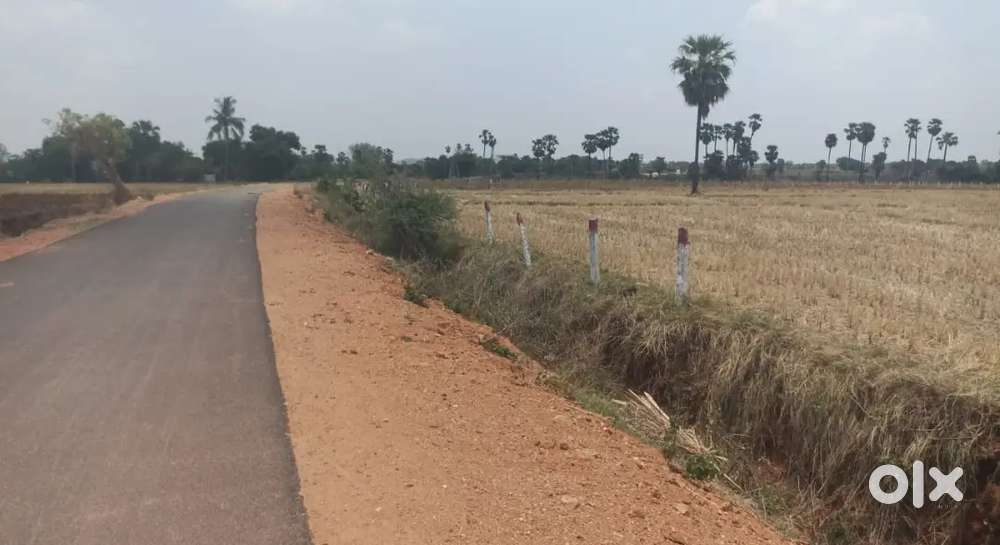 Agriculture lands for sale