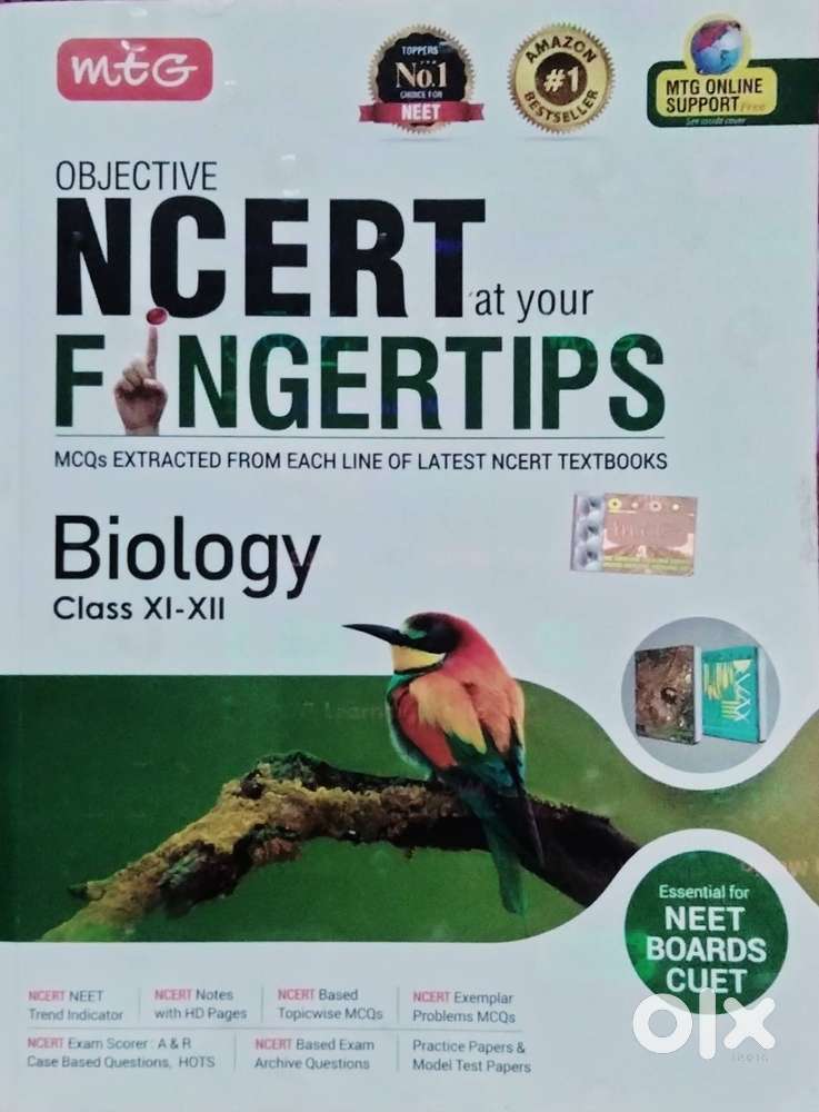Fingertips Biology