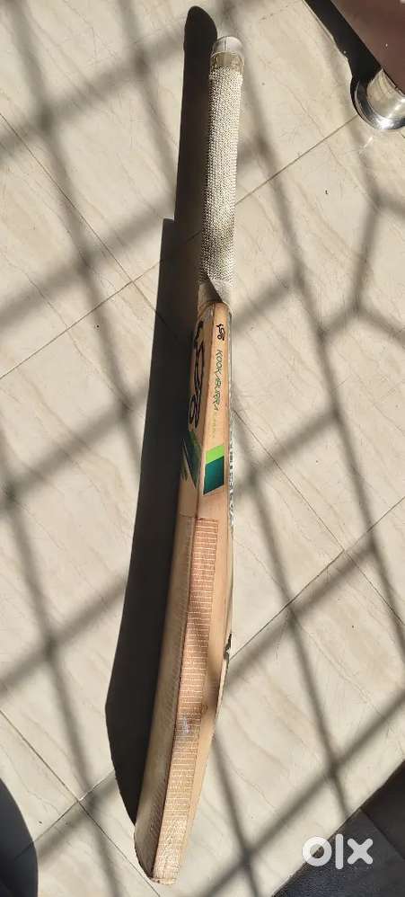 Kookaburra Bat
