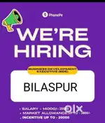 SALES EXECUTIVE
