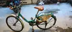 Ladybird bycyles good condition