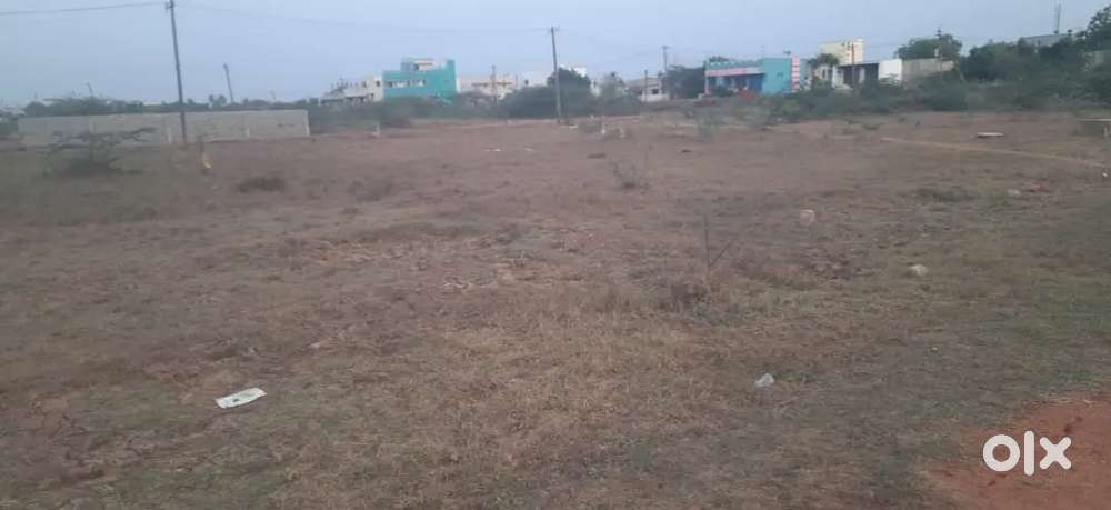 Revenue colony DTCP layout  40 feet road
