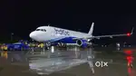 Cabin crew/Airport Ground Staff Jobs in Indigo limited vacancy Apply