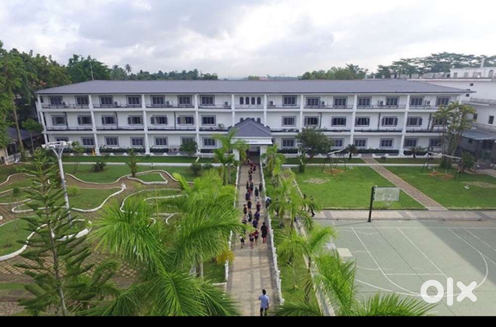 Shadow teacher/ special education